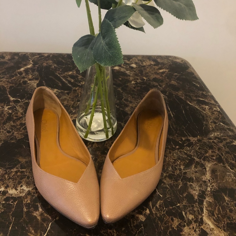 Chloe- nude pointed toe flats